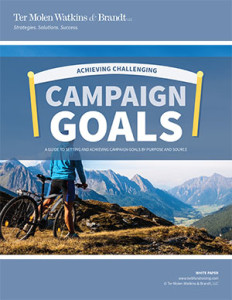 achieving-campaign-goals-RGB-COVER-232x300